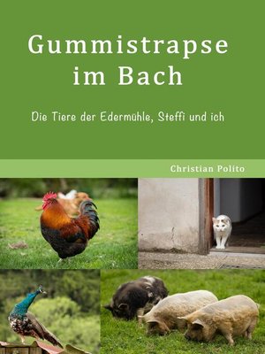 cover image of Gummistrapse im Bach